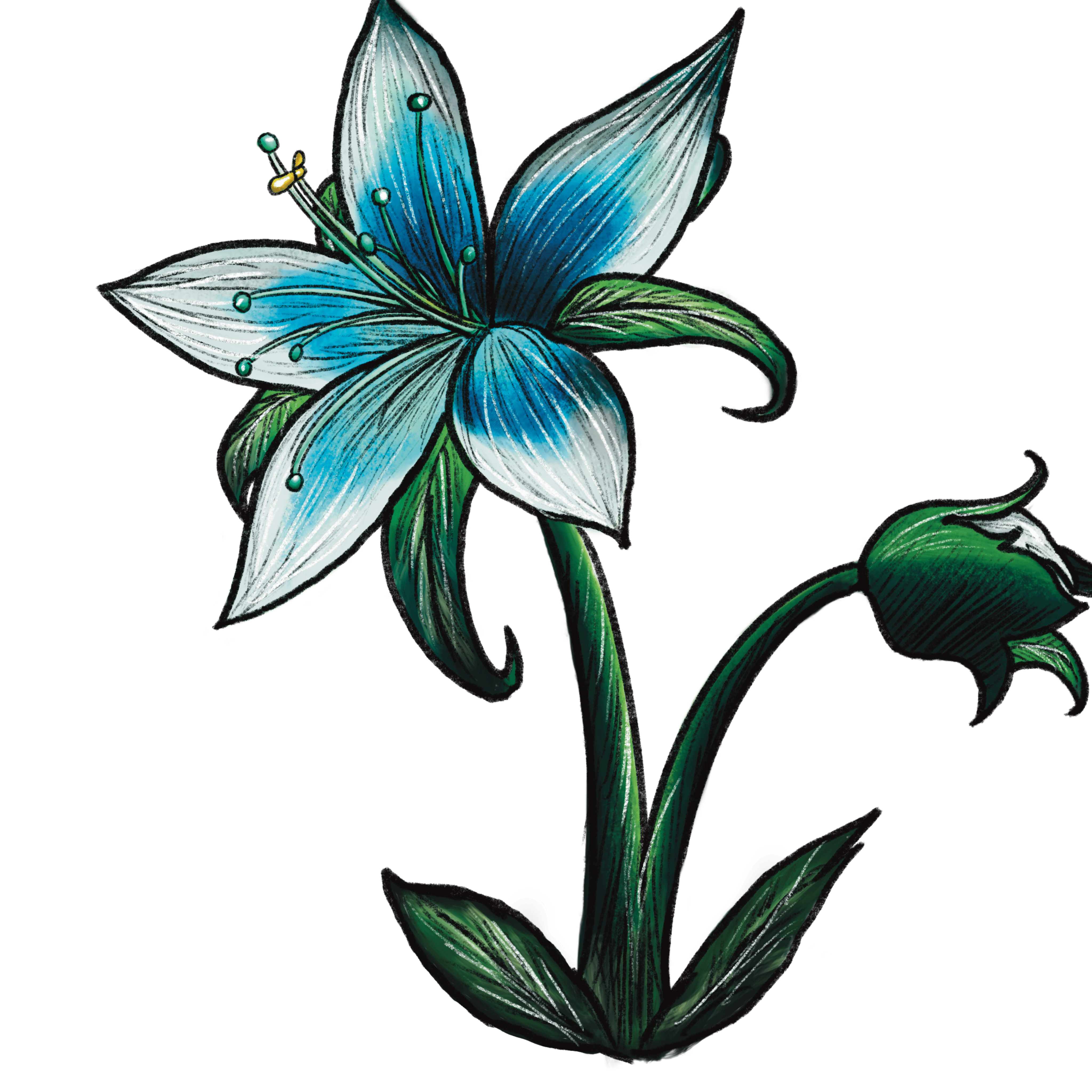 Ilustraciones 13